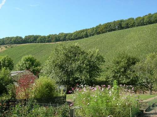Altemberg