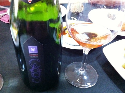 Cava Gran Caus 