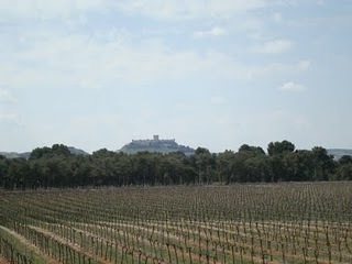 Viñas con castillo al fondo