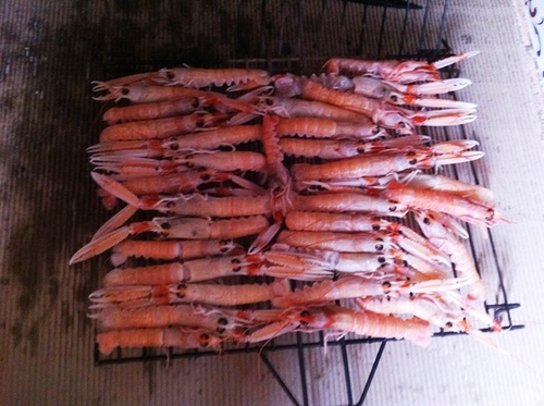 Y de pescado, a las brasas...