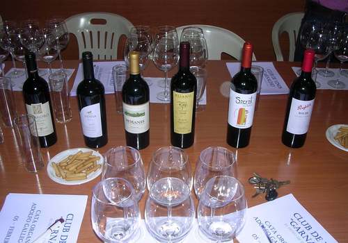 Panorámica de los vinos catados