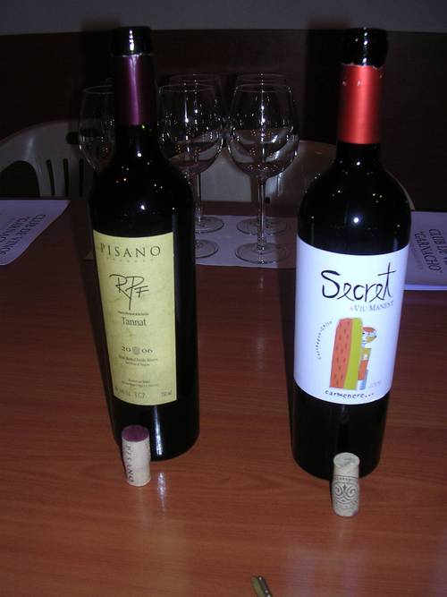 Uruguayo y chileno