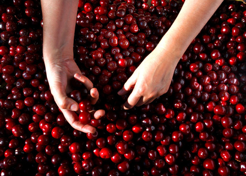 Rojo picota