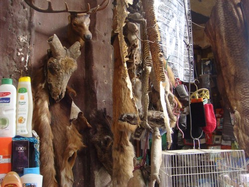 Aromas a casbah