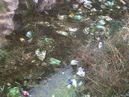 Aromas a ribera de rio