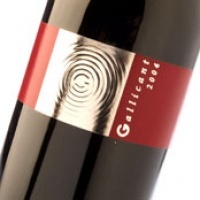 Gallicant 2004