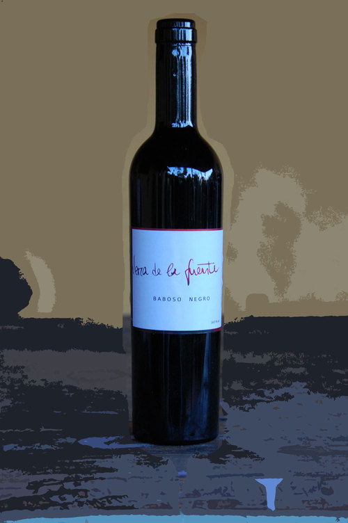Baboso Negro Vera de la Fuente 2009