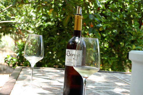 El Borujo 2010