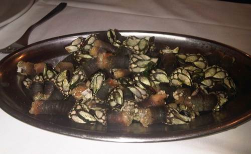 Estrela Galega Percebes