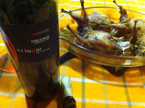 Shiraz 100%, bastante rico.