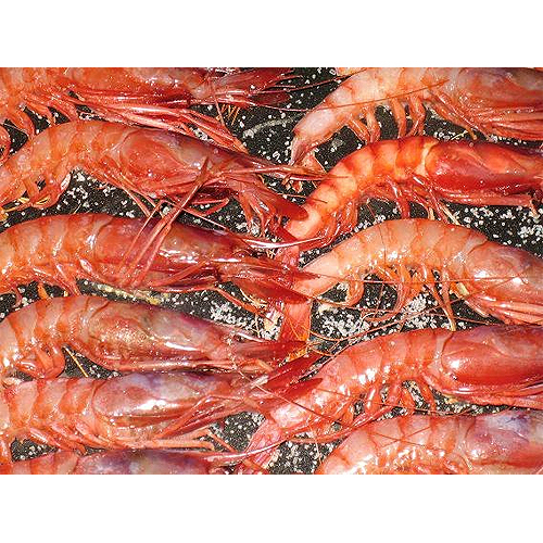 Restaurante Asador Marinero Un Lugar
