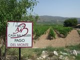 Parcela Pago del Monte en la Finca Casa Balaguer
