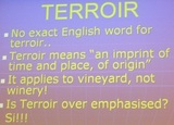 Terroir Vitícola