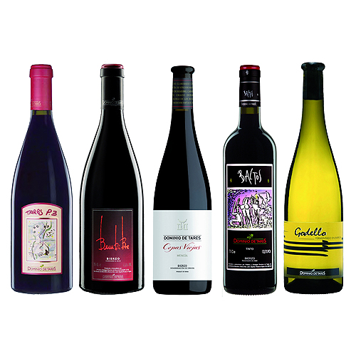 Vinos-dominio-de-tares