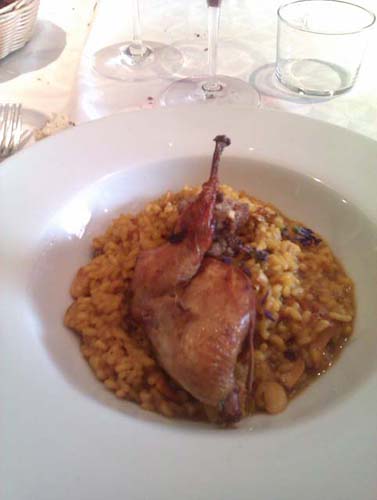 Arroz de setas, codornices y violetas.