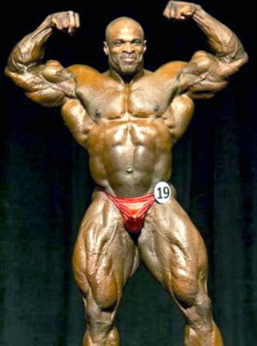 Capa alta, corpulento, musculado y estructura
