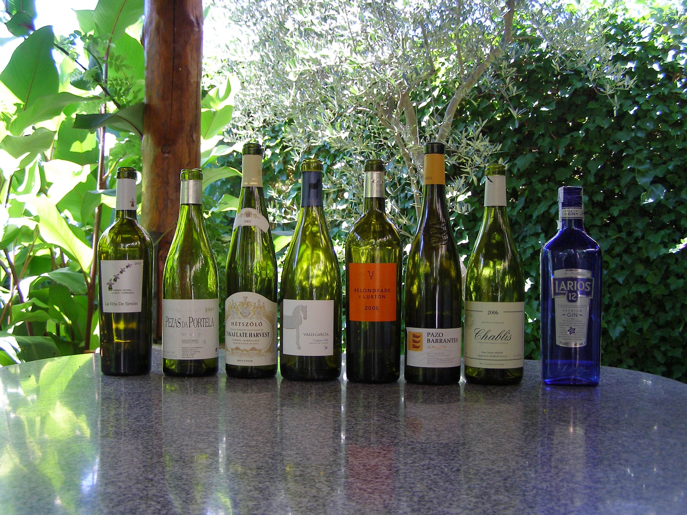 Panorámica de todos los vinos, la ginebra también cayo, por cierto muy buena...