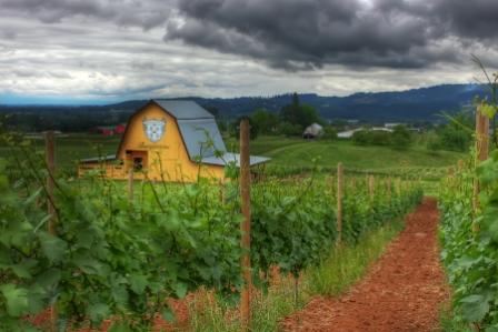 Viñedos de Bergstrom - Pinot Noir