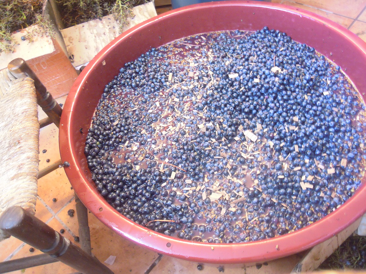 mosto pisado sin raspón, más uvas enteras despalilladas manualmente