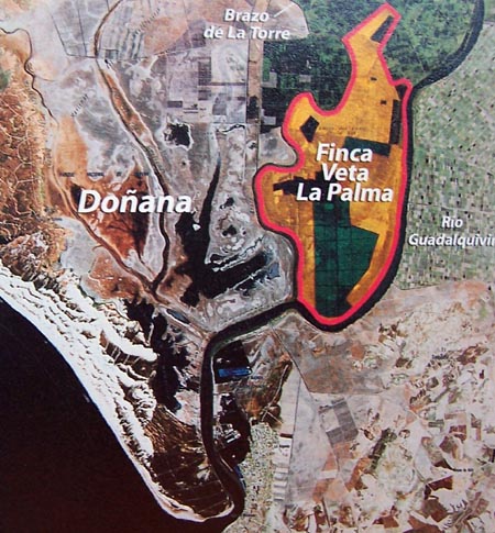 Finca Veta La Palma