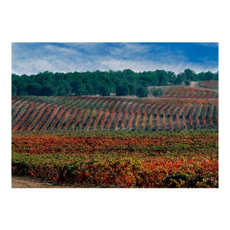 Paisaje