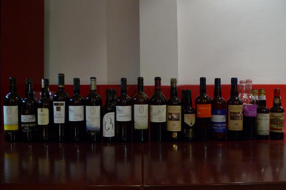 Todos los vinos de la cata