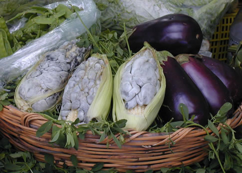 Maiz con Huitlacoche