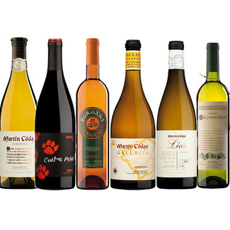 Gama-vinos-martin-codax_logo