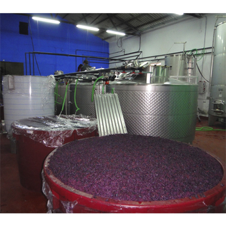 Instalaciones bodegas Canopy