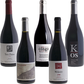 Gama de vinos Bodegas Canopy