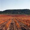 Diferentes-terroirs_thumb