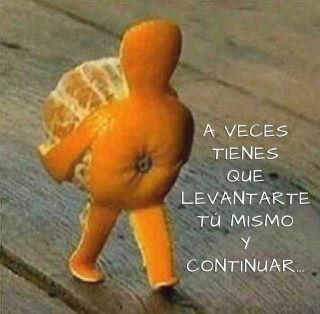 La vida de una Naranja...