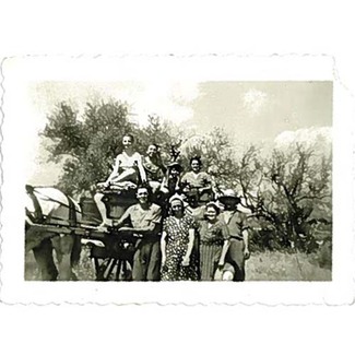 La vendimia de antes