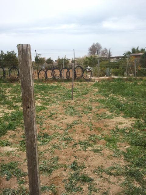 Terreno para nueva plantación