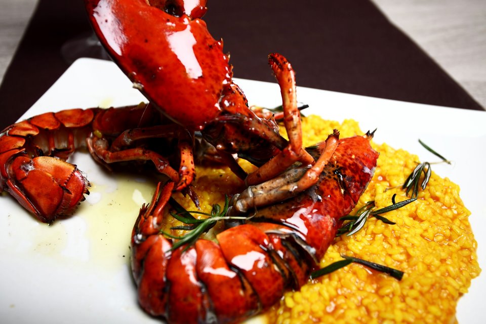 Restaurante Casel.la Bogavante al carbón sobre meloso 