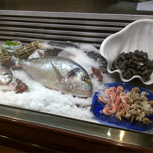 Islas Canarias en Valencia Pescado y marisco fresco cada día