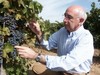 Vinos-navarra-rosados-javier-ochoa_thumb