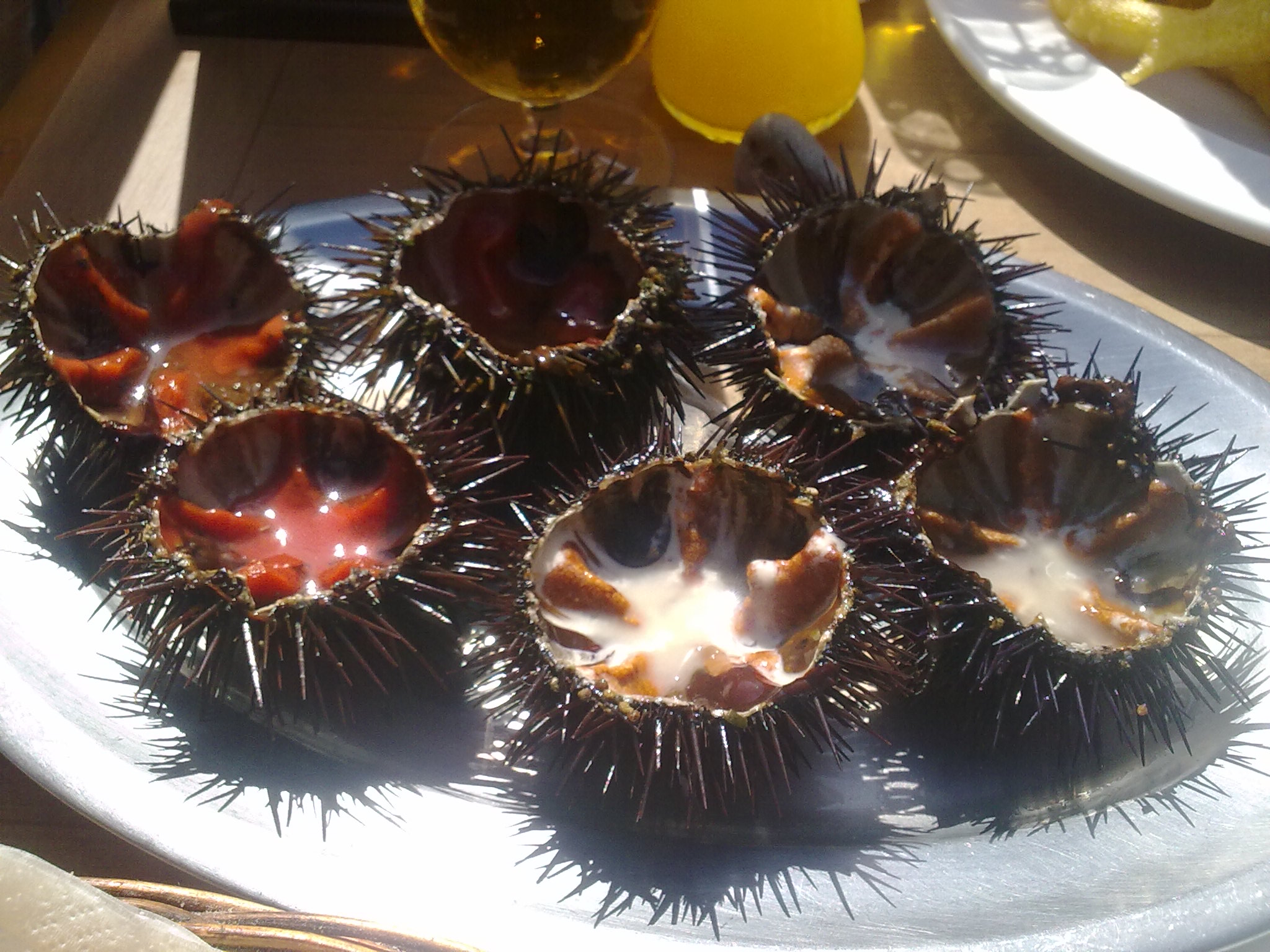 Restaurante Sendra