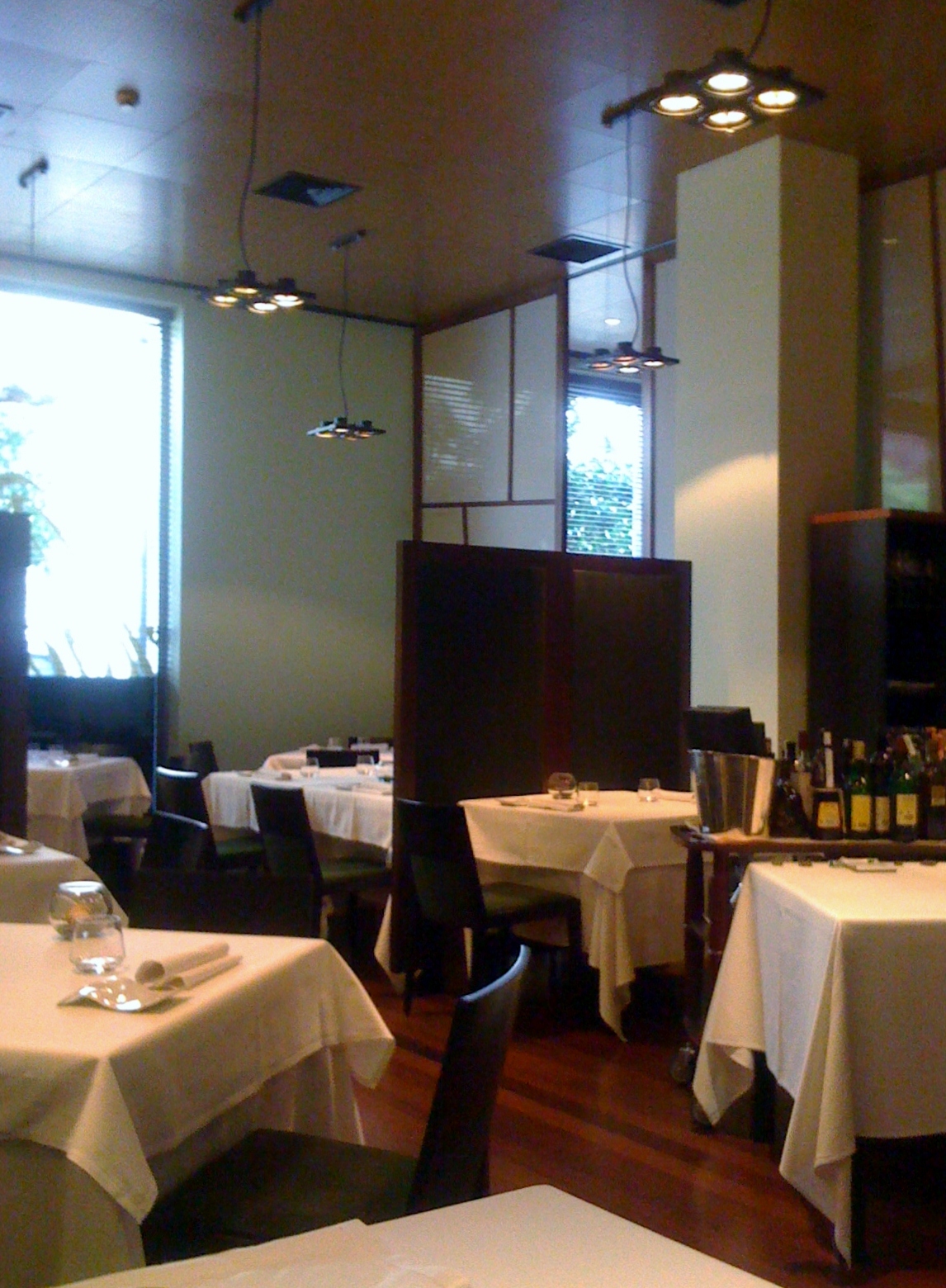 Techos que se elevan y te elevan