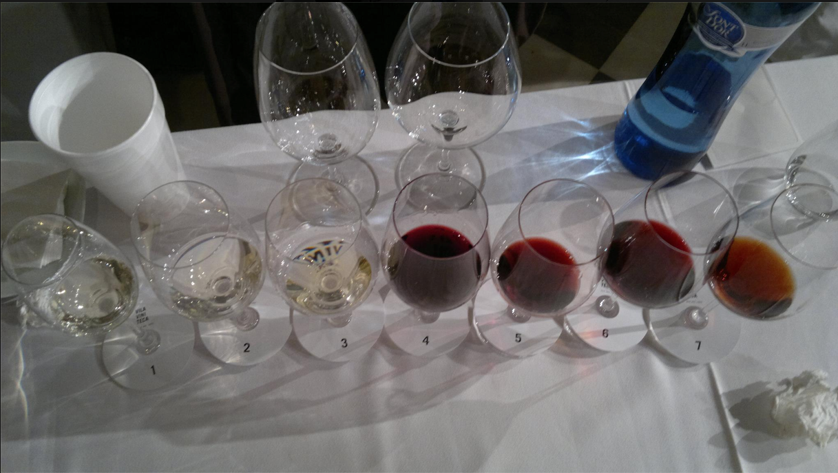 Los vinos de la primera fase: Cata por parejas de Vila Viniteca