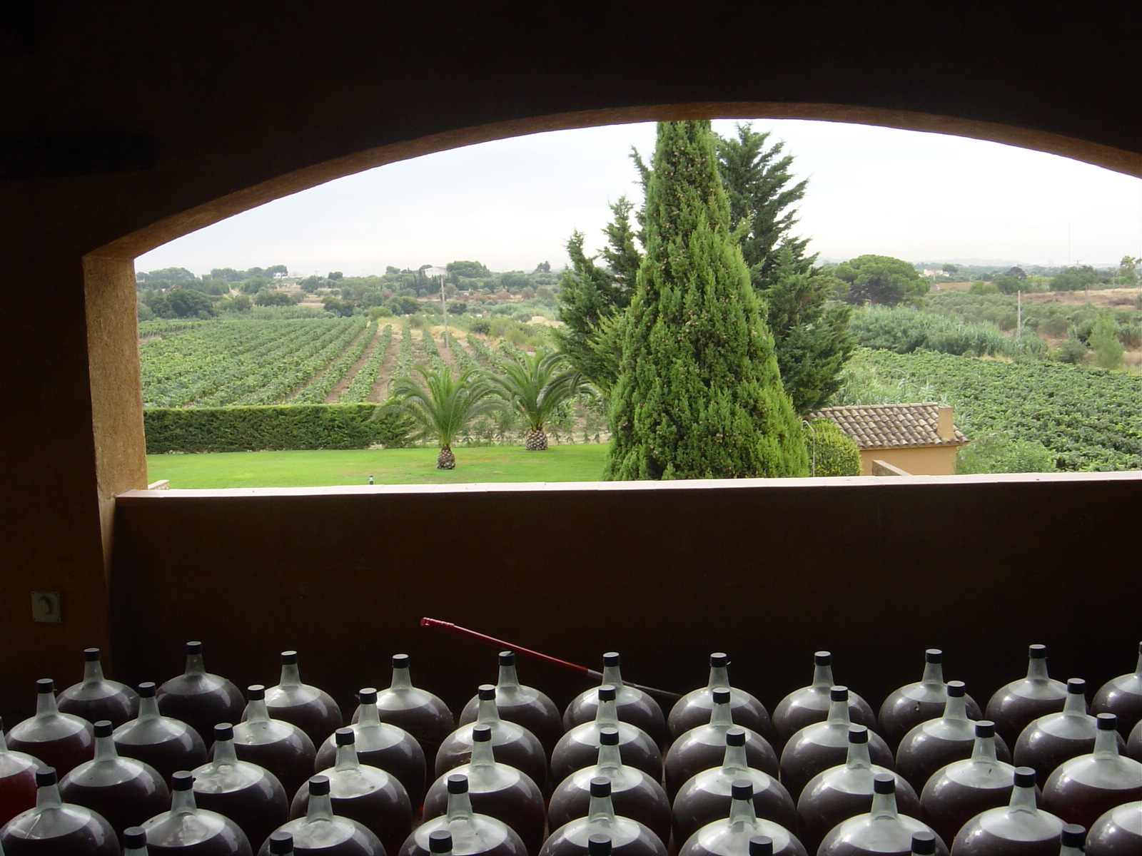 vino rancio de muller