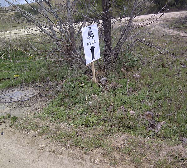 bodegas alfredo Maestro tejero