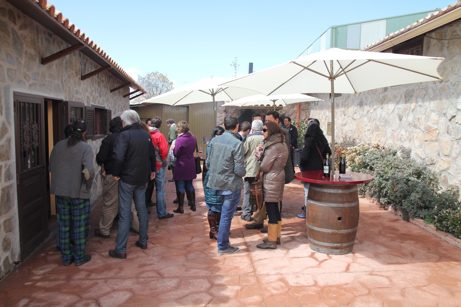 bodega alfredo maestro