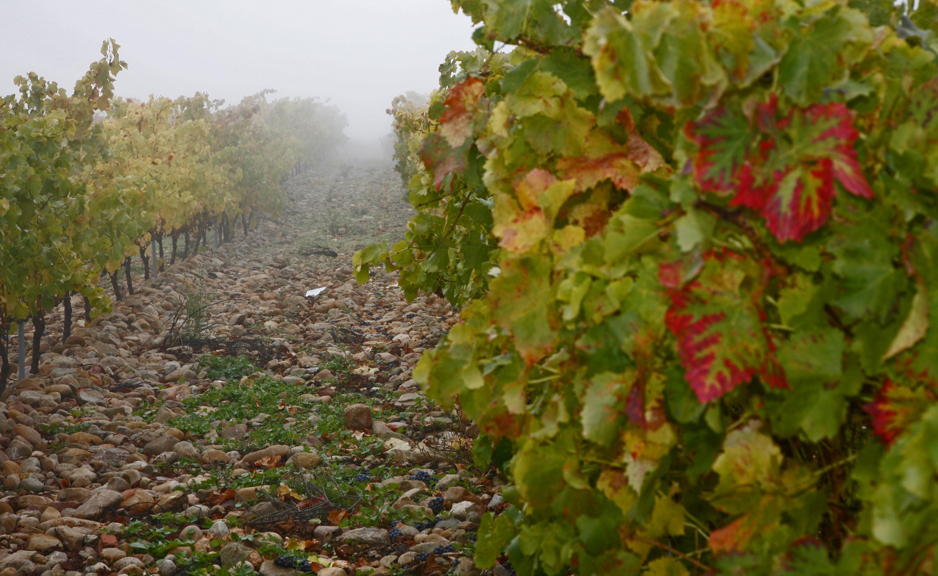 Finca-La-Pedriza-la-rioja-alta