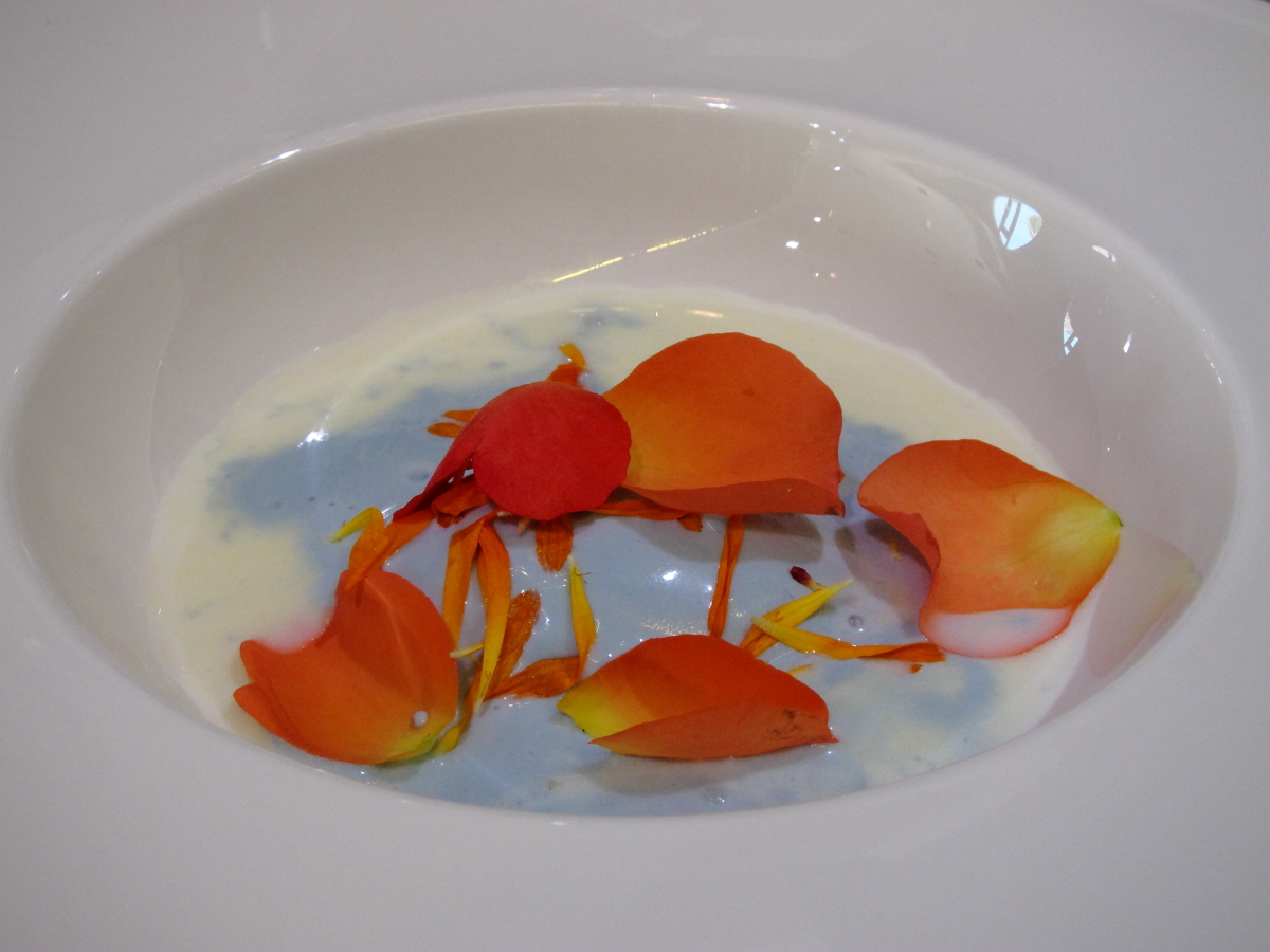 Restaurante Els Vents Sopa de chocolate blanco con helado de violetas y gelé de coco
