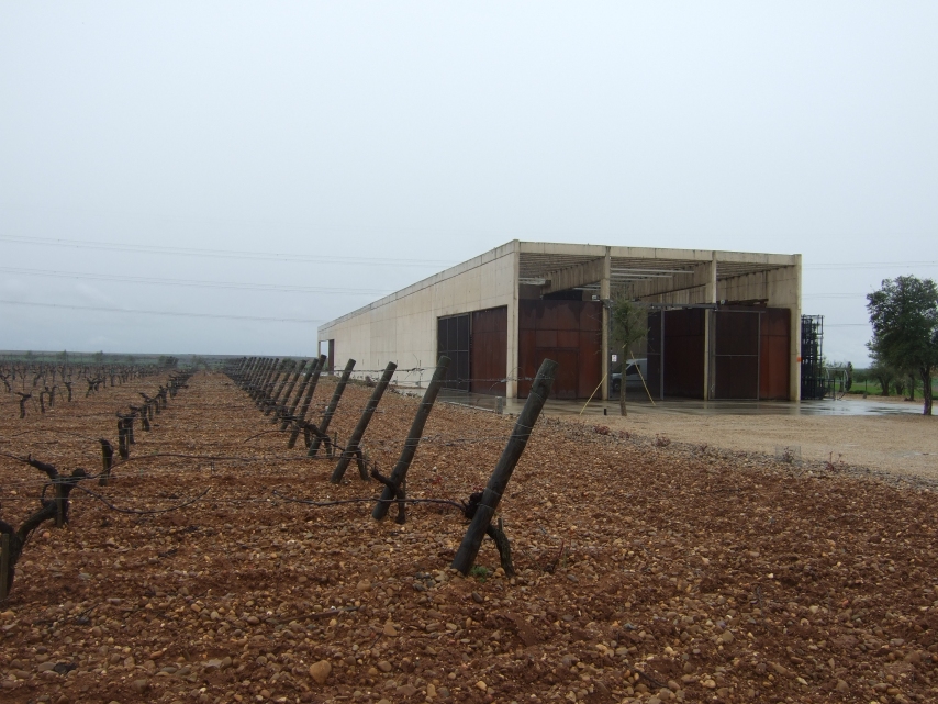 Viñedo y Bodega