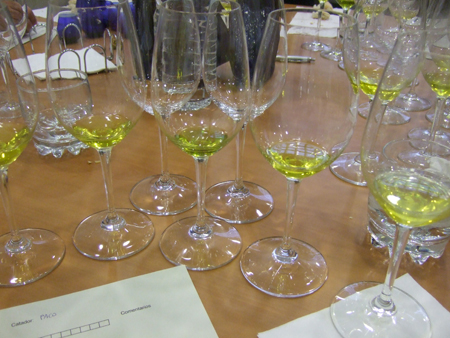 cata-de-aceite-oliva-virgen-extra-aove