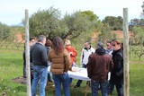 Enoturismo-cava-visita-bodega-recaredo_col
