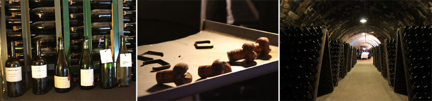 visita-bodega-recaredo-cava-enoturismo