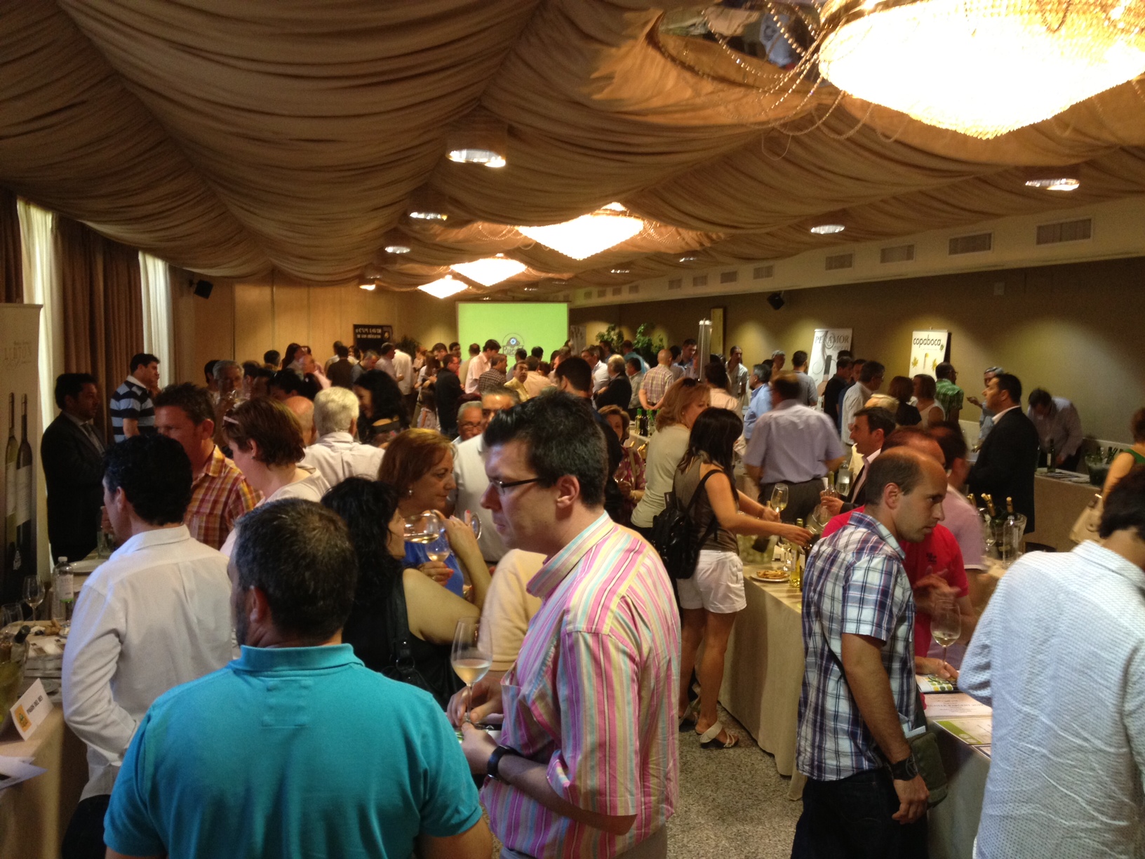 presentación vinos de Rueda